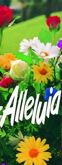 Alleluia