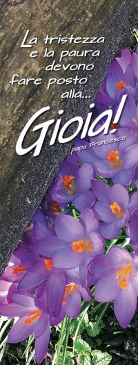La tristezza e la paura devono far posto alla GIOIA!   (Papa Francesco)