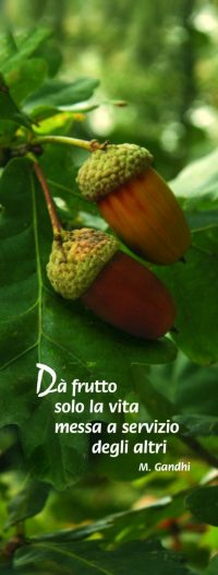 Da' frutto solo la vita messa a servizio degli altri   (M. Gandhi)