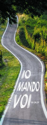 Io mando voi    (Gv 20,21)