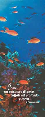 Come un pescatore di perle, tuffati nel profondo e cerca…       (S. Paramanda)