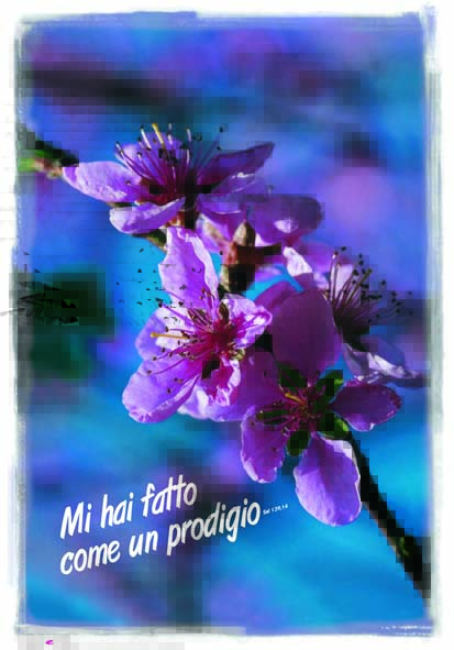 Mi hai fatto come un prodigio (Sal 139,14) - poster 04
