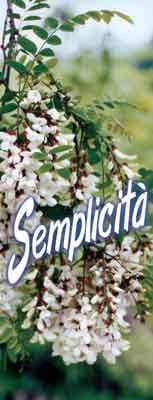SEMPLICITA'